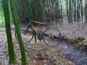 Vélo en bambou dans la bambouseraie